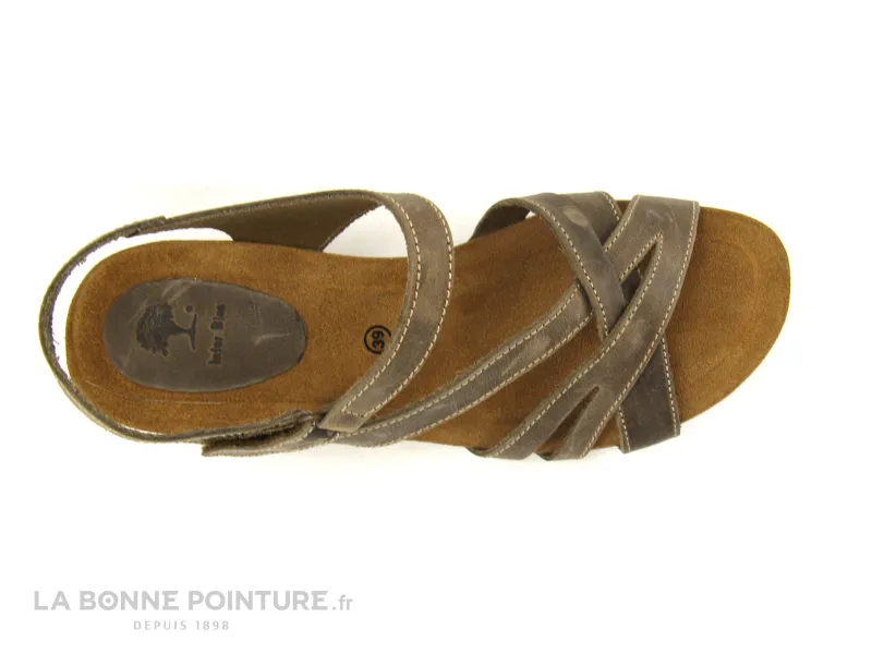 Achat chaussures Inter-bios Femme Sandale et Nu-pieds, vente Inter Bios 5633 pardo marron - Sandale talon compense