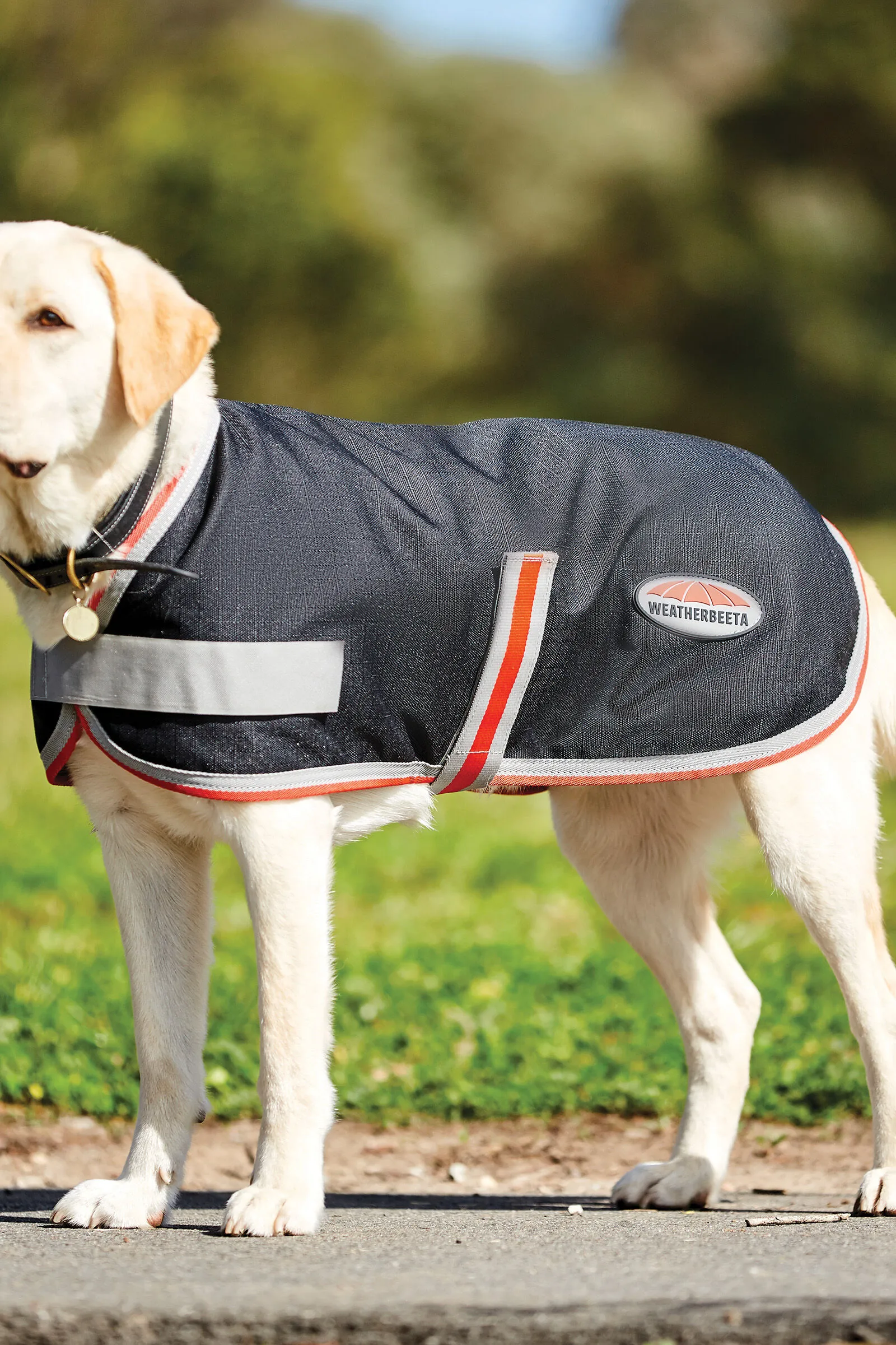 Weatherbeeta Manteau pour chien Comfitec Therapy-Tec 1200D